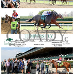 Tempers Fly - 10-25-24 R04 Kee Keeneland