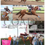 Tempting Scout - All American Quarter Horse Oaks Trials 08-11-24 R04 Alb Downs At Albuquerque