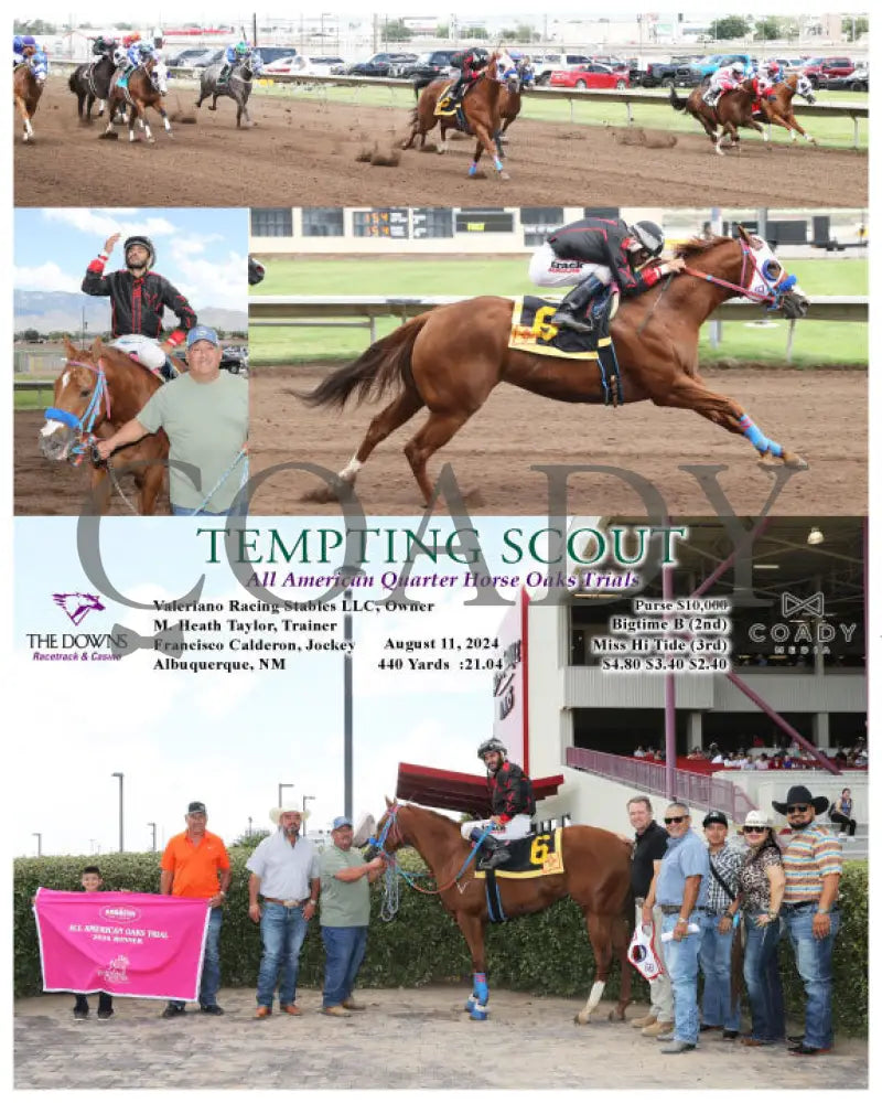 Tempting Scout - All American Quarter Horse Oaks Trials 08-11-24 R04 Alb Downs At Albuquerque