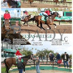 Texas Hedge - 03 - 26 - 24 R08 Tup Turf Paradise