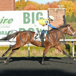 The Boy’s Warrior - The Mark Mcdermott Stakes 10-21-24 R05 Pid Finish Presque Isle Downs