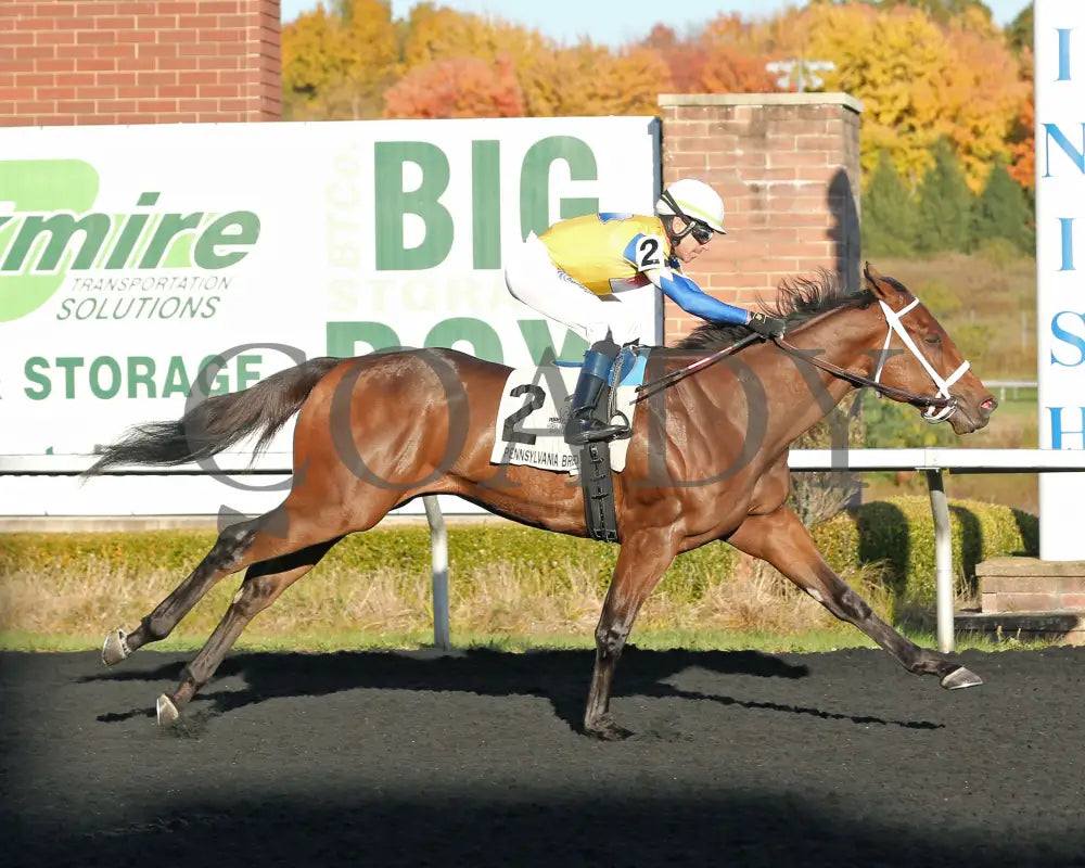 The Boy’s Warrior - The Mark Mcdermott Stakes 10-21-24 R05 Pid Finish Presque Isle Downs