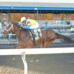 The Boy’s Warrior - The Mark Mcdermott Stakes 10-21-24 R05 Pid Inside Finish Presque Isle Downs