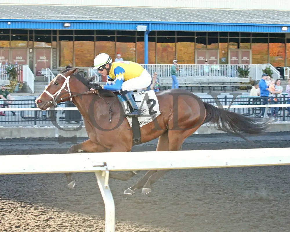 The Boy’s Warrior - The Mark Mcdermott Stakes 10-21-24 R05 Pid Inside Finish Presque Isle Downs