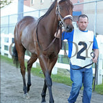 The Boy’s Warrior - The Mark Mcdermott Stakes 10-21-24 R05 Pid Paddock 01 Presque Isle Downs