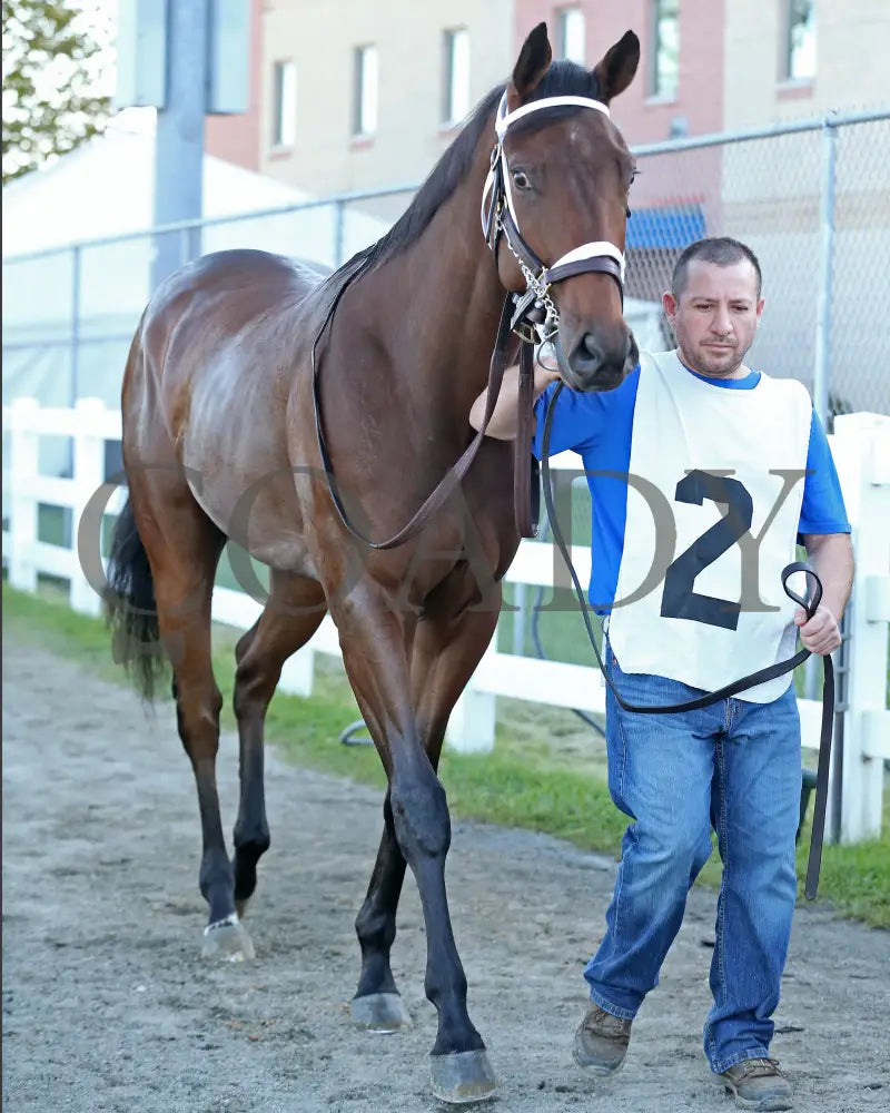 The Boy’s Warrior - The Mark Mcdermott Stakes 10-21-24 R05 Pid Paddock 01 Presque Isle Downs