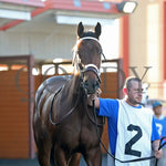 The Boy’s Warrior - The Mark Mcdermott Stakes 10-21-24 R05 Pid Paddock 03 Presque Isle Downs