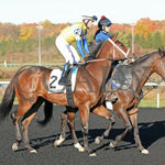 The Boy’s Warrior - The Mark Mcdermott Stakes 10-21-24 R05 Pid Post Parade Presque Isle Downs