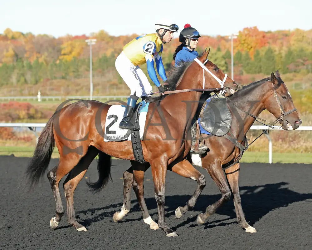 The Boy’s Warrior - The Mark Mcdermott Stakes 10-21-24 R05 Pid Post Parade Presque Isle Downs