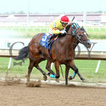 The Kid Pataky - Piedi Bianchi Overnight Handicap 09-25-24 R06 Horseshoe Indiana Finish 02