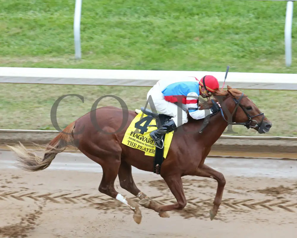 The Player - The Hagyard Fayette Gr Ii 60Th Running 10-28-17 R09 Kee Aerial 1 Keeneland