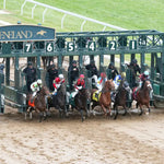 The Player - The Hagyard Fayette Gr Ii 60Th Running 10-28-17 R09 Kee Aerial Start 1 Keeneland