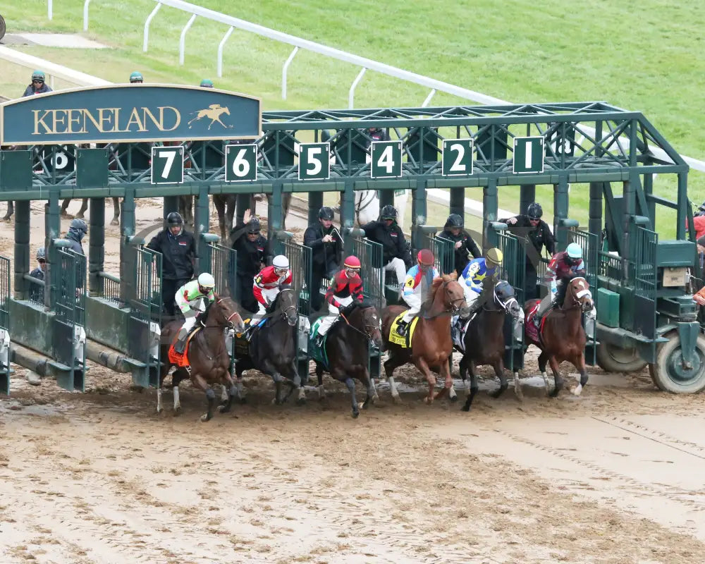 The Player - The Hagyard Fayette Gr Ii 60Th Running 10-28-17 R09 Kee Aerial Start 1 Keeneland