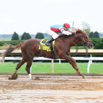 The Player - The Hagyard Fayette Gr Ii 60Th Running 10-28-17 R09 Kee Finish 1 Keeneland