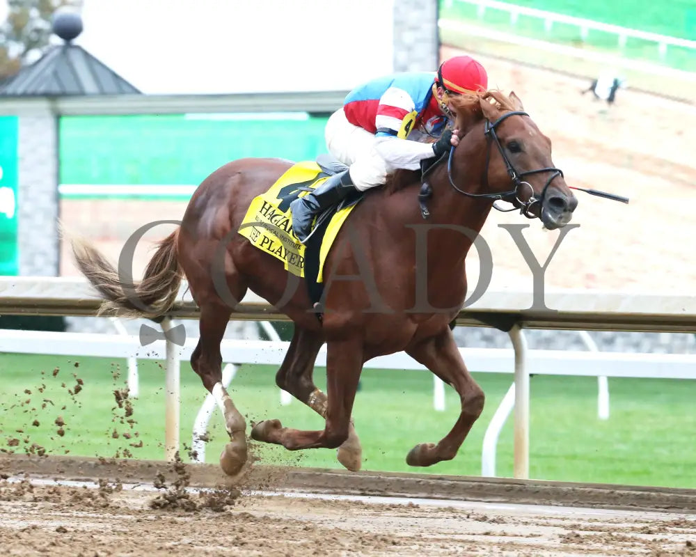 The Player - The Hagyard Fayette Gr Ii 60Th Running 10-28-17 R09 Kee Finish 2 Keeneland