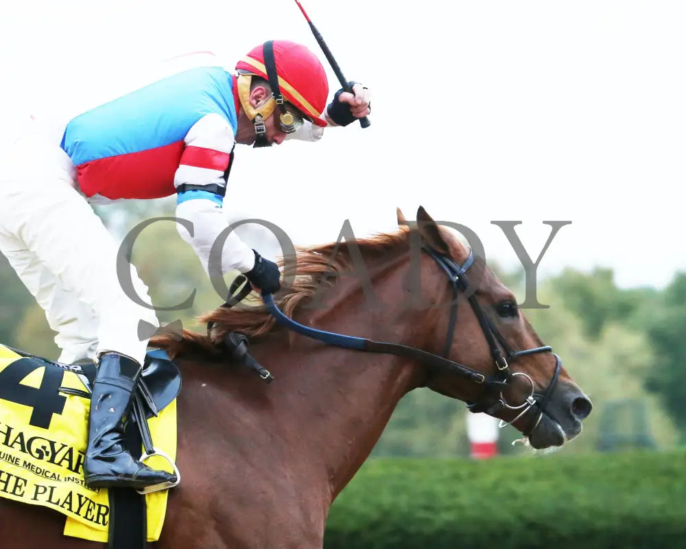 The Player - The Hagyard Fayette Gr Ii 60Th Running 10-28-17 R09 Kee Finish Tight 2 Keeneland