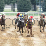 The Player - The Hagyard Fayette Gr Ii 60Th Running 10-28-17 R09 Kee Head On 1 Keeneland