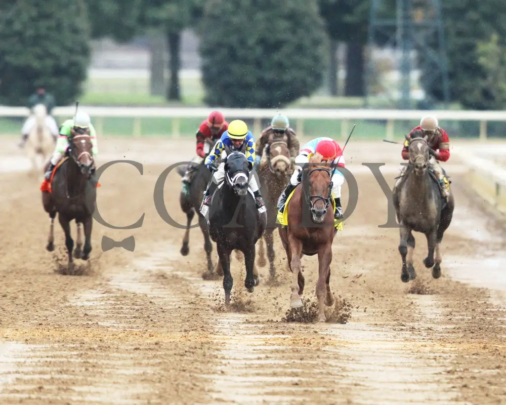 The Player - The Hagyard Fayette Gr Ii 60Th Running 10-28-17 R09 Kee Head On 1 Keeneland