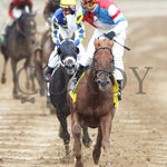 The Player - The Hagyard Fayette Gr Ii 60Th Running 10-28-17 R09 Kee Head On 2 Keeneland