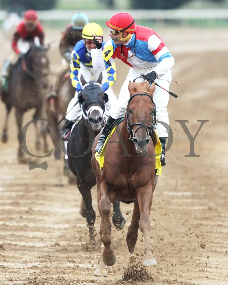 The Player - The Hagyard Fayette Gr Ii 60Th Running 10-28-17 R09 Kee Head On 2 Keeneland