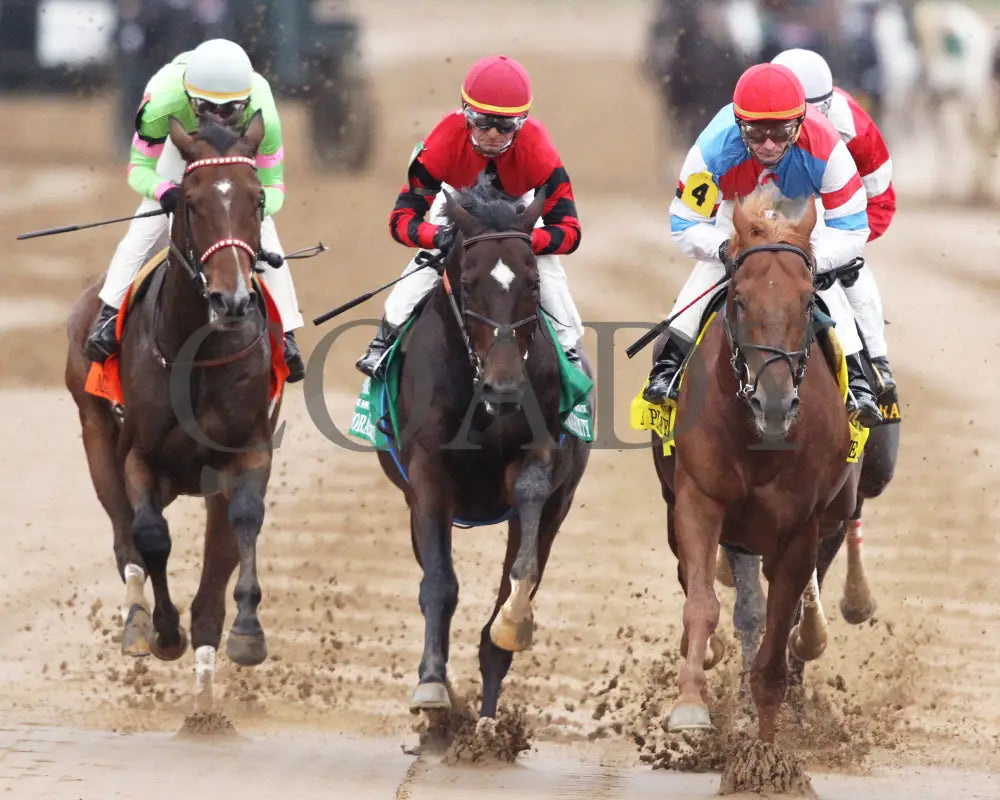 The Player - The Hagyard Fayette Gr Ii 60Th Running 10-28-17 R09 Kee Head On First Turn 1 Keeneland