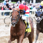 The Player - The Hagyard Fayette Gr Ii 60Th Running 10-28-17 R09 Kee Inside Finish 1 Keeneland