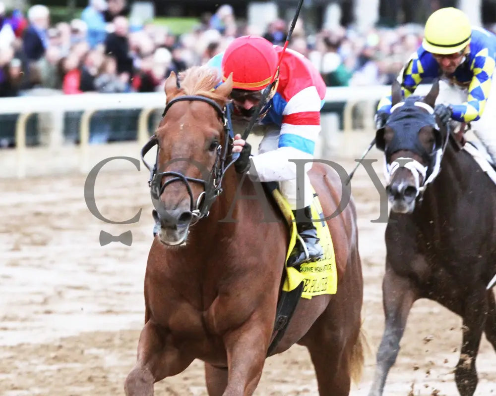 The Player - The Hagyard Fayette Gr Ii 60Th Running 10-28-17 R09 Kee Inside Finish 1 Keeneland