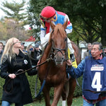 The Player - The Hagyard Fayette Gr Ii 60Th Running 10-28-17 R09 Kee Paddock 1 Keeneland