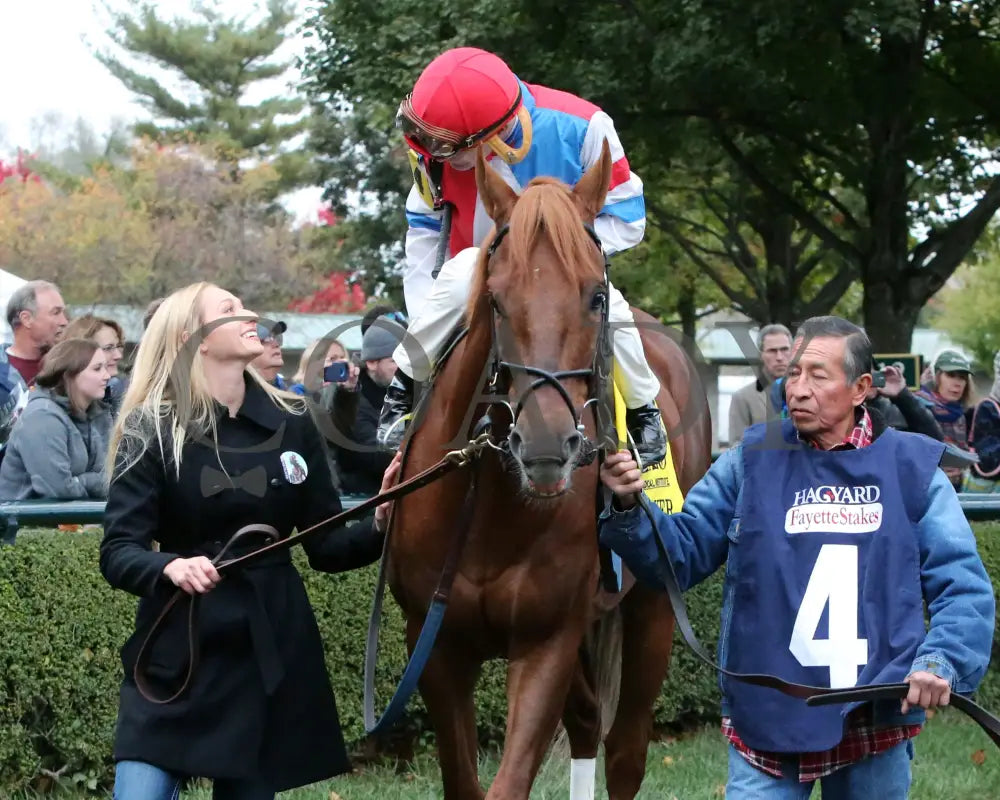 The Player - The Hagyard Fayette Gr Ii 60Th Running 10-28-17 R09 Kee Paddock 1 Keeneland