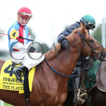 The Player - The Hagyard Fayette Gr Ii 60Th Running 10-28-17 R09 Kee Post Parade 2 Keeneland