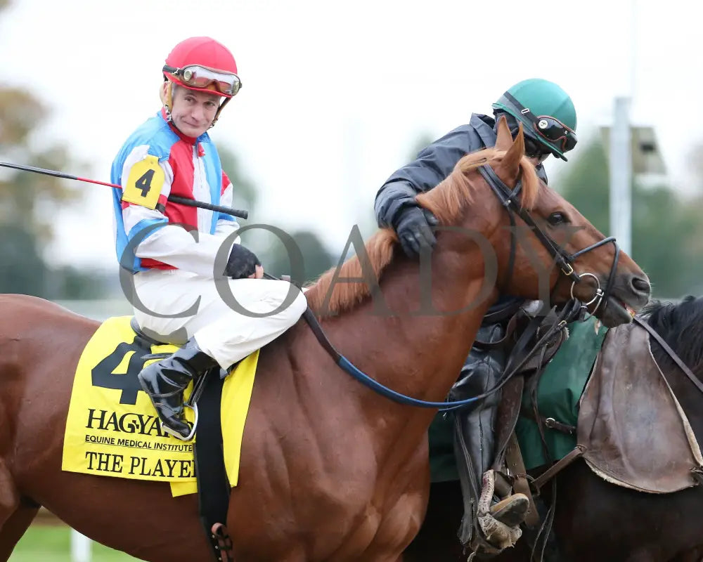 The Player - The Hagyard Fayette Gr Ii 60Th Running 10-28-17 R09 Kee Post Parade 2 Keeneland