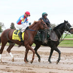 The Player - The Hagyard Fayette Gr Ii 60Th Running 10-28-17 R09 Kee Post Parade 3 Keeneland