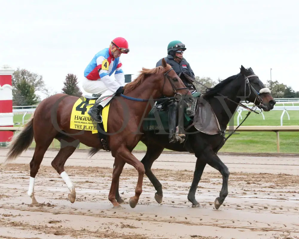 The Player - The Hagyard Fayette Gr Ii 60Th Running 10-28-17 R09 Kee Post Parade 3 Keeneland