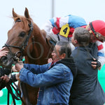 The Player - The Hagyard Fayette Gr Ii 60Th Running 10-28-17 R09 Kee Scenic 1 Keeneland