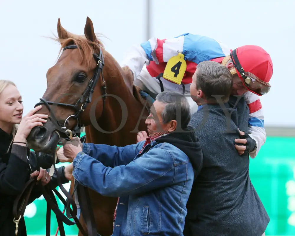 The Player - The Hagyard Fayette Gr Ii 60Th Running 10-28-17 R09 Kee Scenic 1 Keeneland