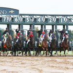 The Player - The Hagyard Fayette Gr Ii 60Th Running 10-28-17 R09 Kee Start 1 Keeneland