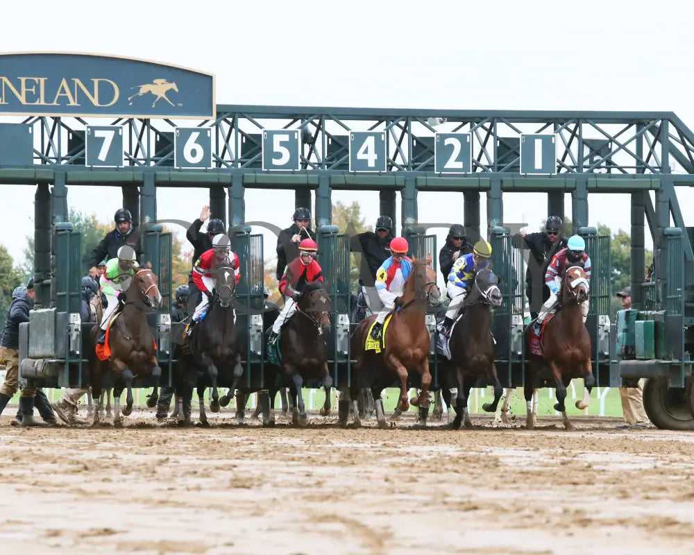 The Player - The Hagyard Fayette Gr Ii 60Th Running 10-28-17 R09 Kee Start 1 Keeneland