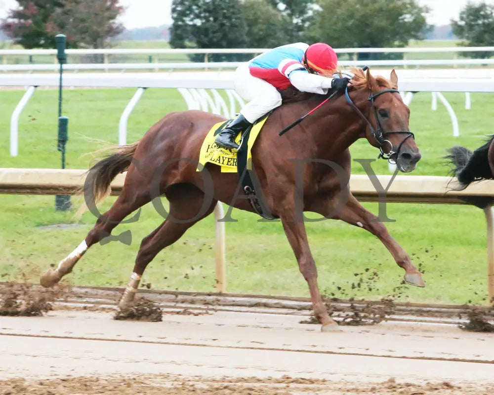 The Player - The Hagyard Fayette Gr Ii 60Th Running 10-28-17 R09 Kee Tight Turn Keeneland