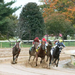 The Player - The Hagyard Fayette Gr Ii 60Th Running 10-28-17 R09 Kee Turn 1 Keeneland