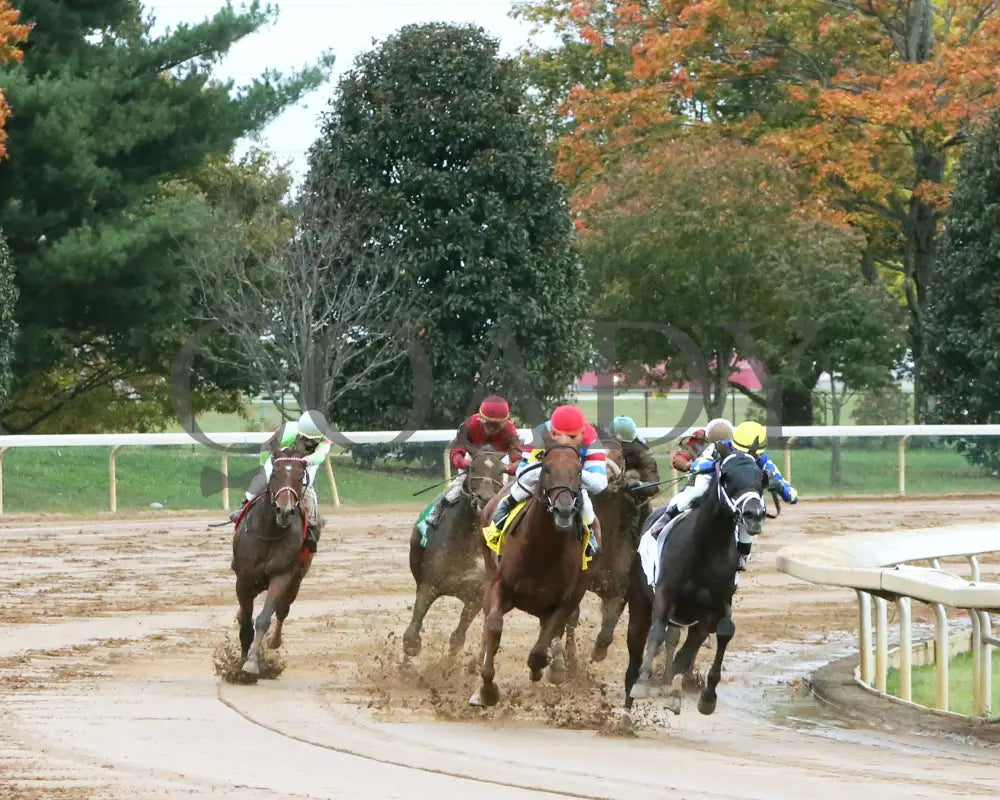 The Player - The Hagyard Fayette Gr Ii 60Th Running 10-28-17 R09 Kee Turn 1 Keeneland