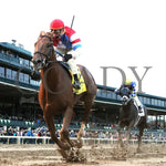 The Player - The Hagyard Fayette Gr Ii 60Th Running 10-28-17 R09 Kee Under Rail 1 Keeneland