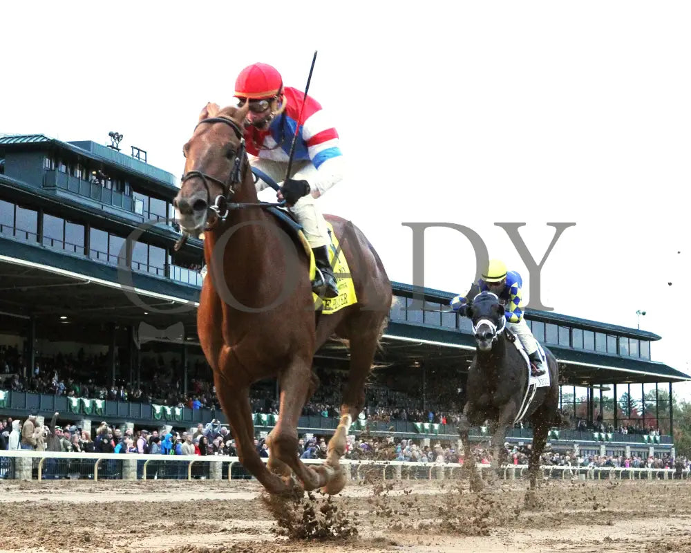 The Player - The Hagyard Fayette Gr Ii 60Th Running 10-28-17 R09 Kee Under Rail 1 Keeneland