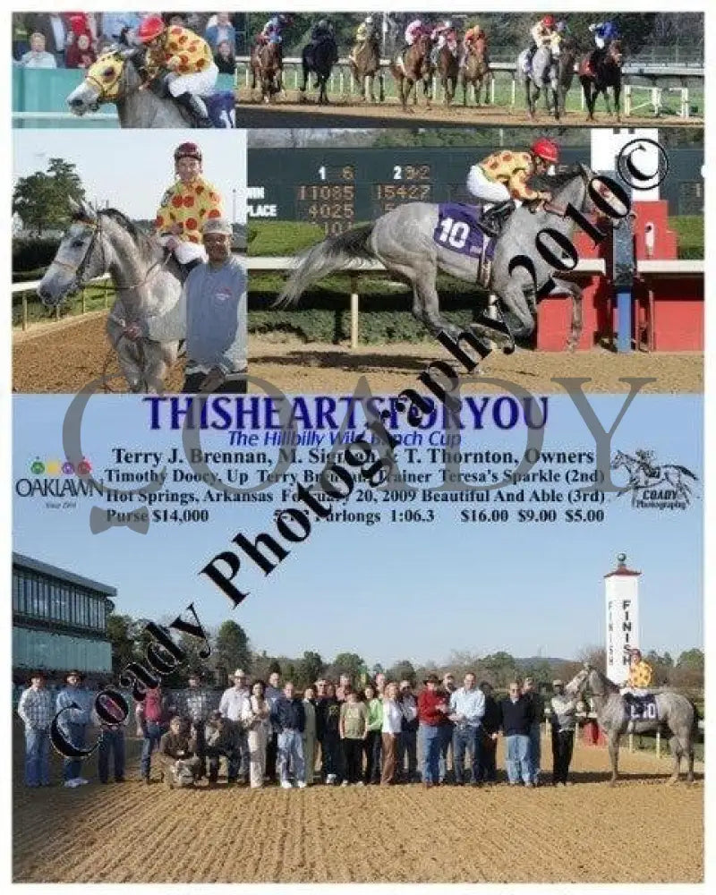 Thisheartsforyou - The Hillbilly Wild Bunch Cup Oaklawn Park