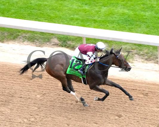 Thorpedo Anna - The 52Nd Running Of Fantasy Stakes G2 03 - 30 - 24 R11 Op Aerial Finish 01 Oaklawn