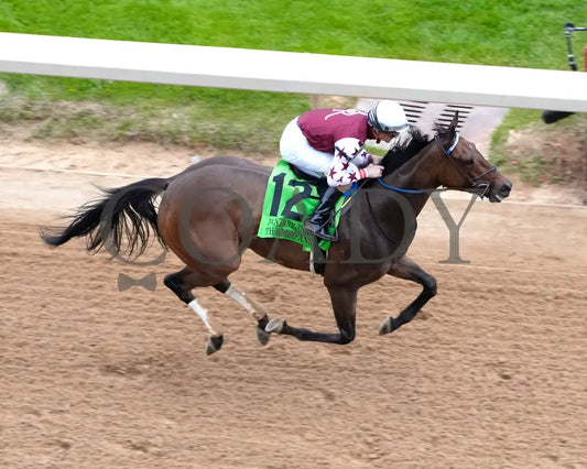 Thorpedo Anna - The 52Nd Running Of Fantasy Stakes G2 03 - 30 - 24 R11 Op Aerial Finish 02 Oaklawn