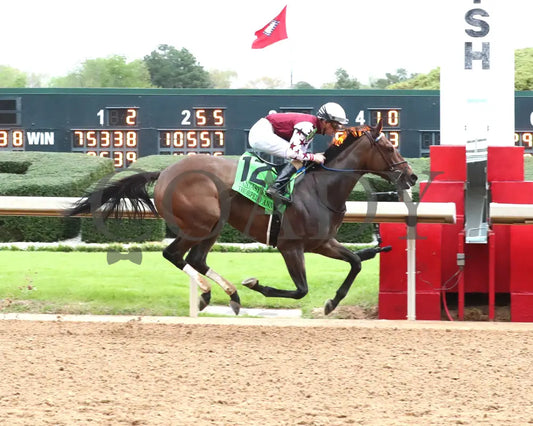 Thorpedo Anna - The 52Nd Running Of Fantasy Stakes G2 03 - 30 - 24 R11 Op Finish 01 Oaklawn Park