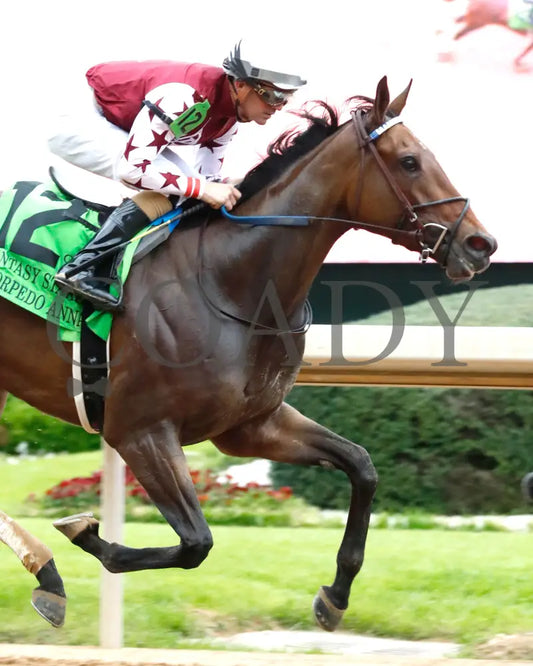 Thorpedo Anna - The 52Nd Running Of Fantasy Stakes G2 03 - 30 - 24 R11 Op Finish 04 Oaklawn Park