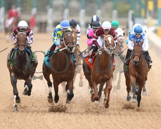 Thorpedo Anna - The 52Nd Running Of Fantasy Stakes G2 03 - 30 - 24 R11 Op First Pass 01 Oaklawn Park