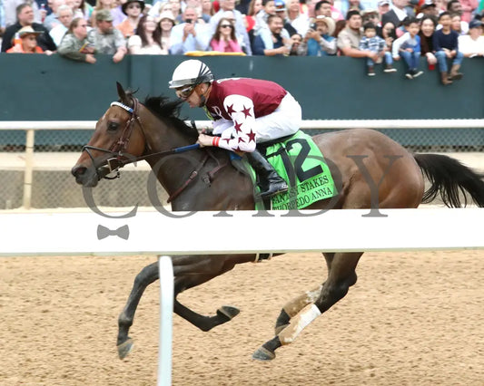 Thorpedo Anna - The 52Nd Running Of Fantasy Stakes G2 03 - 30 - 24 R11 Op Inside Finish 01 Oaklawn