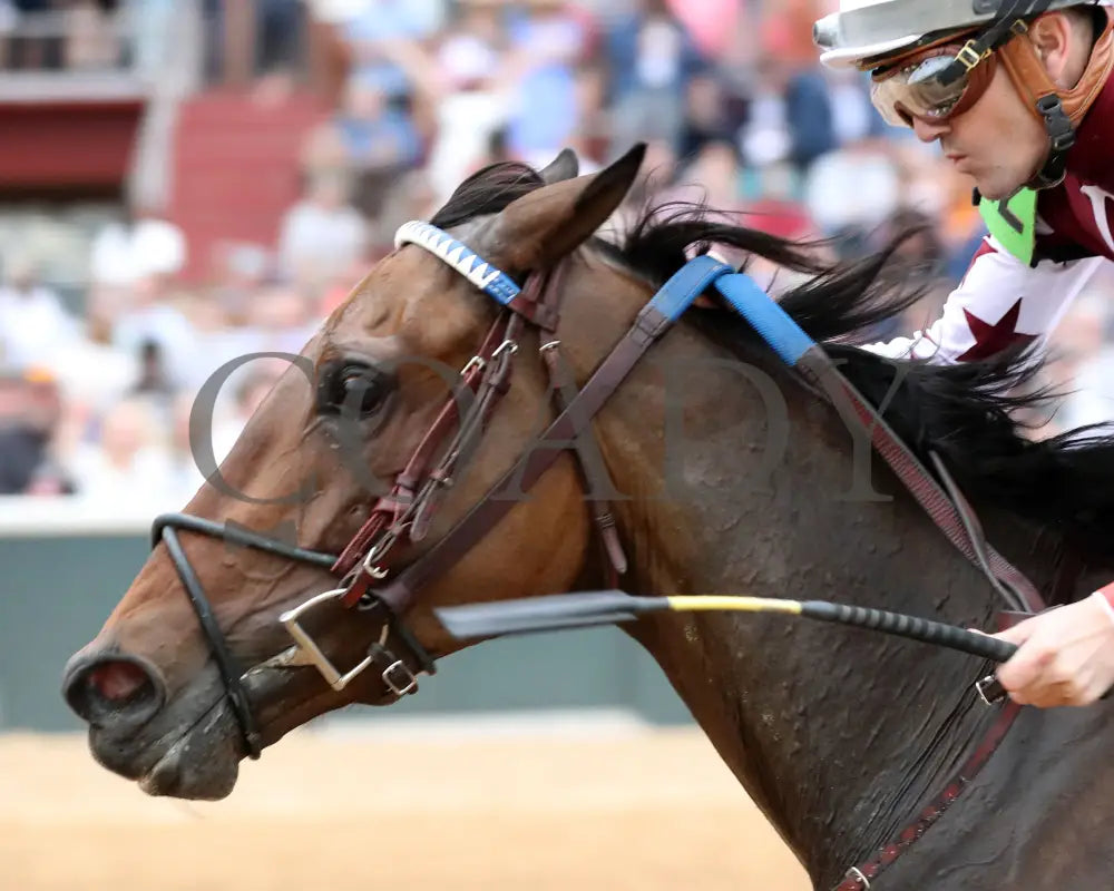 Thorpedo Anna - The 52Nd Running Of Fantasy Stakes G2 03 - 30 - 24 R11 Op Inside Finish 03 Oaklawn